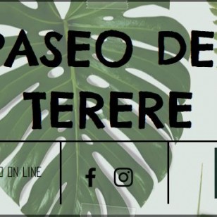 Terere Corner